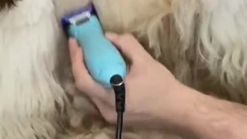 Raspa ou não Raspa