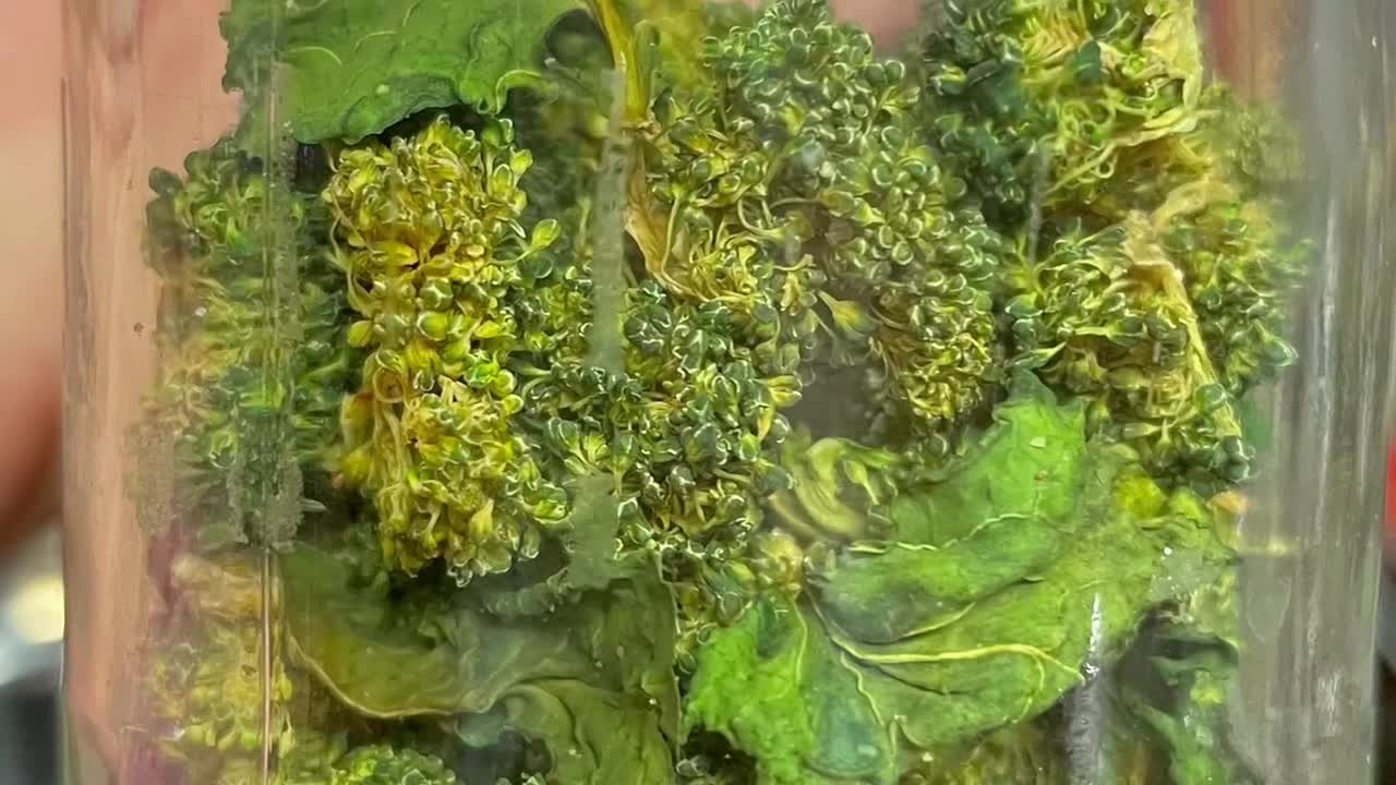 Dehydrating Test 2