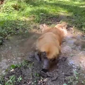 Living his best life 😂