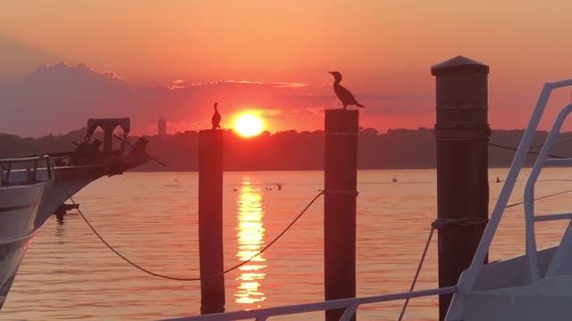 Belmar NJ marina 2021