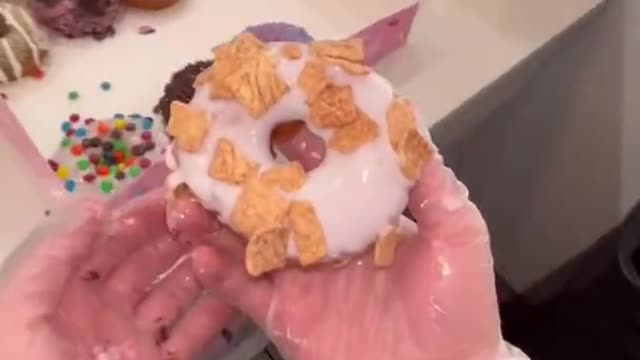 You Can Put Anything On A Donut