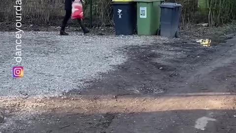 Dumb people funny videos