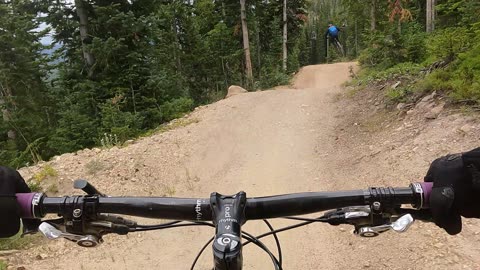 Trestle Bike Park Shy Ann Trail