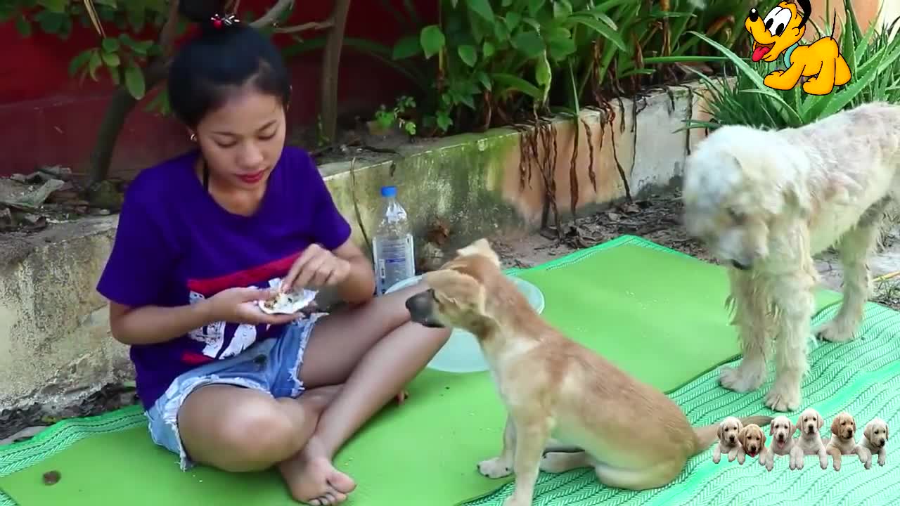 Amazing girl and dog playing on the matress