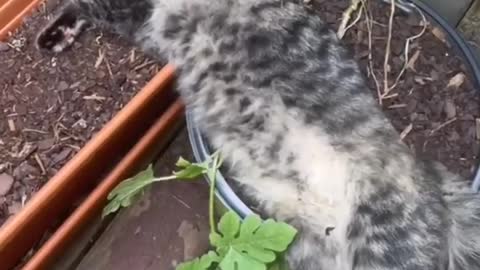 Buongiorno! Ti auguro una buona giornata di lavoro!