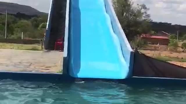 Rough Ride Down Waterslide