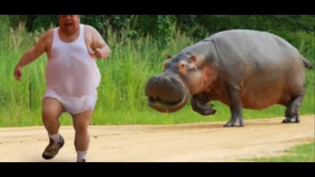 Funny Animals 2022 - Part 1- Watch this.