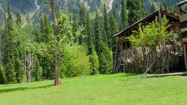 Nature, beauty Arangkhel, Kashmir…!!!