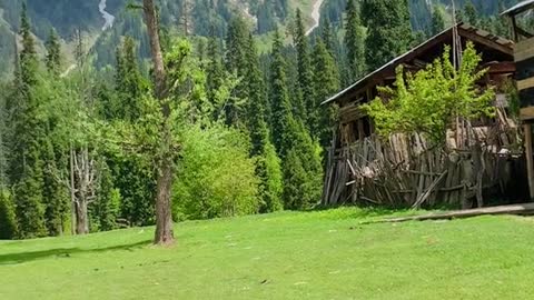 Nature, beauty Arangkhel, Kashmir…!!!