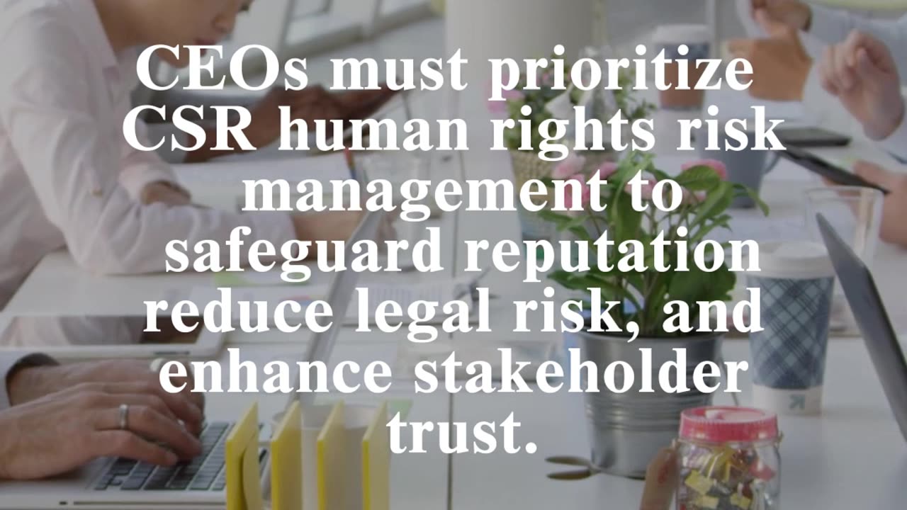 CEO Business Insights: CSR Human Rights Risk Management