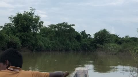 Ratargul Swamp Forest