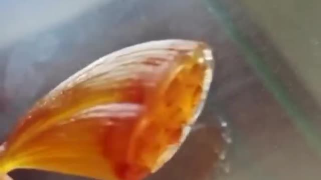 The newly carved agate stone is very three-dimensional