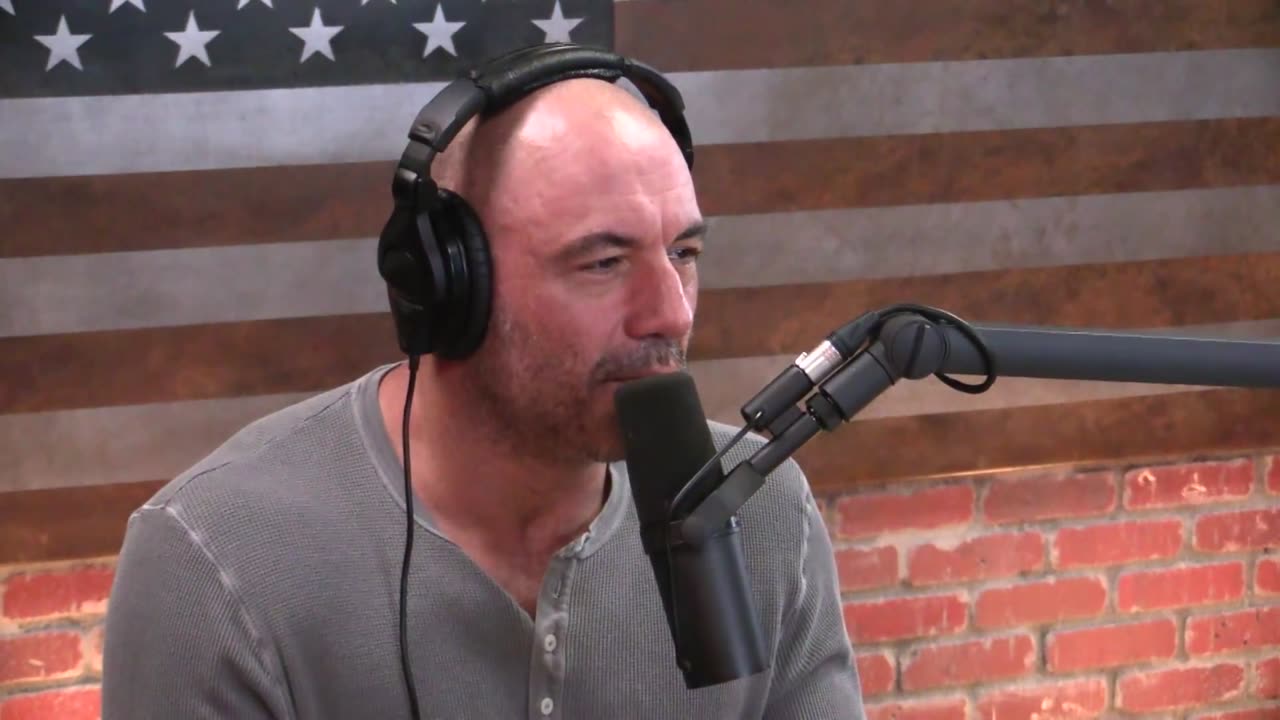 Joe Rogan Experience #1197 - Michael Malice.mp4