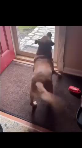 The grandparent's are coming over wiggles