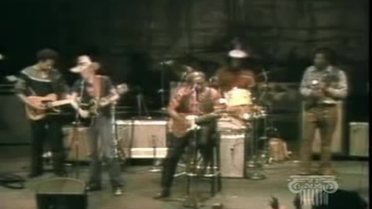 Muddy Waters & Johnny Winter - Going Down Slow = Chicago Blues Fest 1981