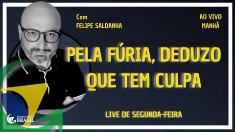 PELA FÚRIA, DEDUZO QUE TEM CULPA