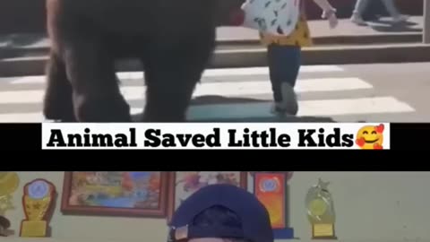 Wow Animal saves Kids life 😱😍It's Amazing