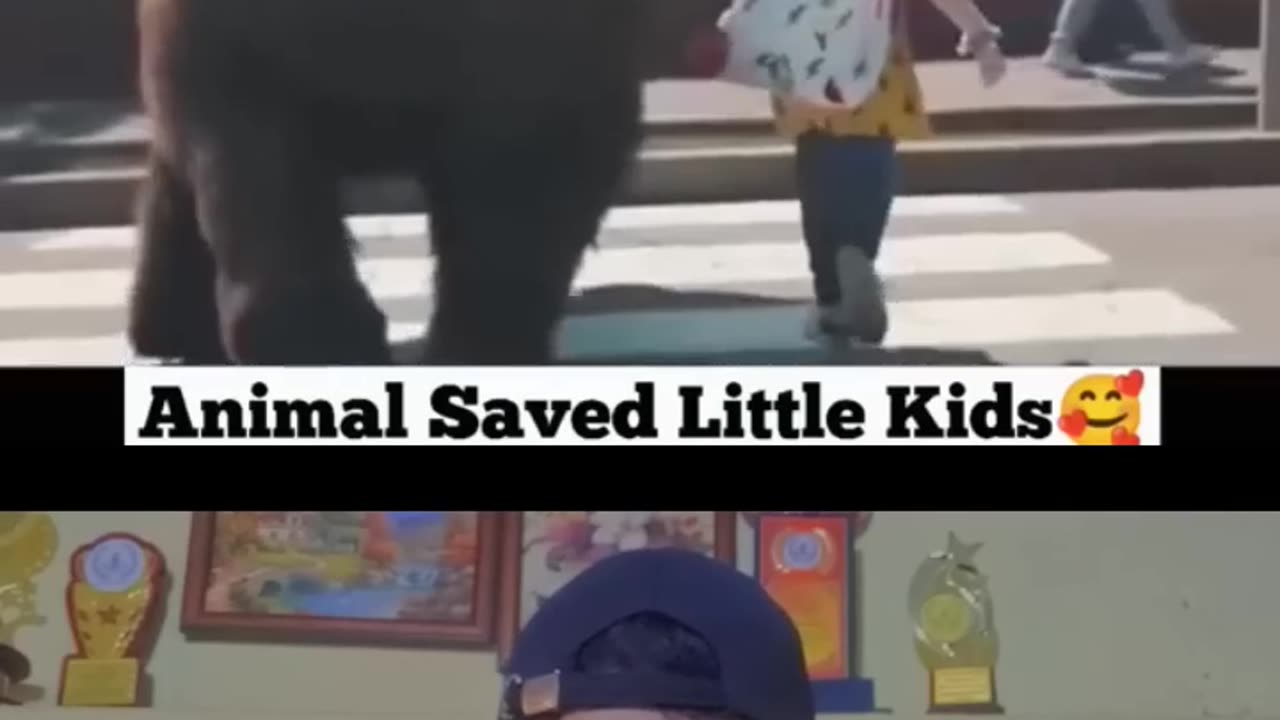 Wow Animal saves Kids life π±πIt's Amazing