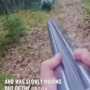 Mother bear protects her children