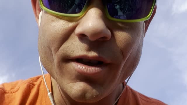 Elons Musk 3
