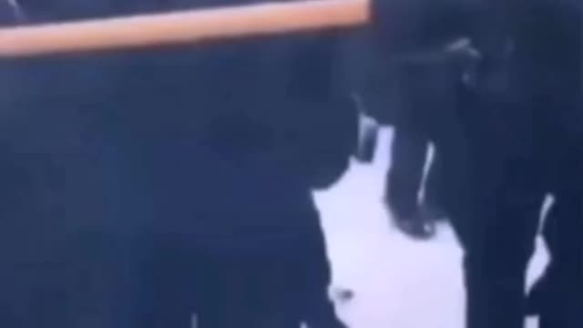 Ottawa Police Brutality Feb 19 2022