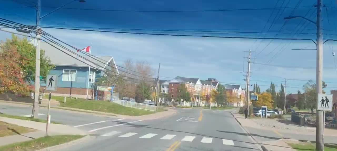 Salutations d'Antigonish (Nouvelle Écosse) ...Juste des arbres qui sont tombés...