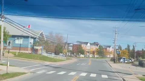 Salutations d'Antigonish (Nouvelle Écosse) ...Juste des arbres qui sont tombés...