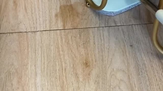 Don’t let your mom who does housework see this !!