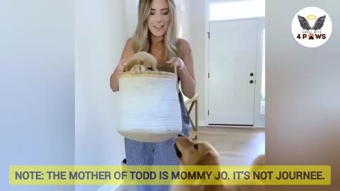 Tucker Budzyn's Journey from Puppy to Big Doggo @Tucker Budzyn