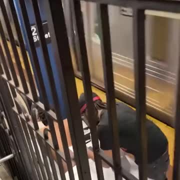 Never know what you’ll see in the New York