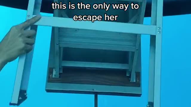 When she books an underwater bungalow and this is the only way to escape her