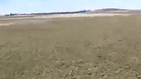 Two horses are running.