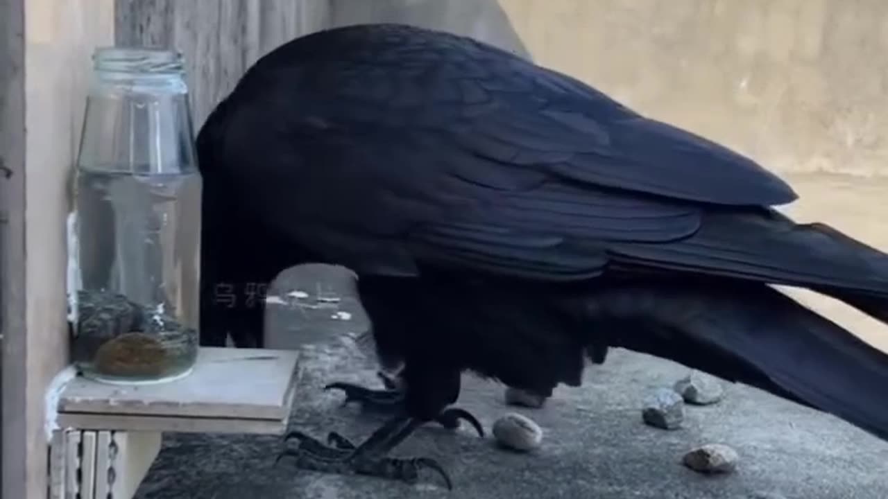 When persistence meets innovation #shorts #shortvideo #video #virals #videoviral