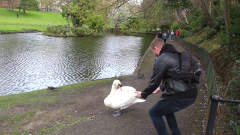 Phoenix Park in Dublin, Ireland