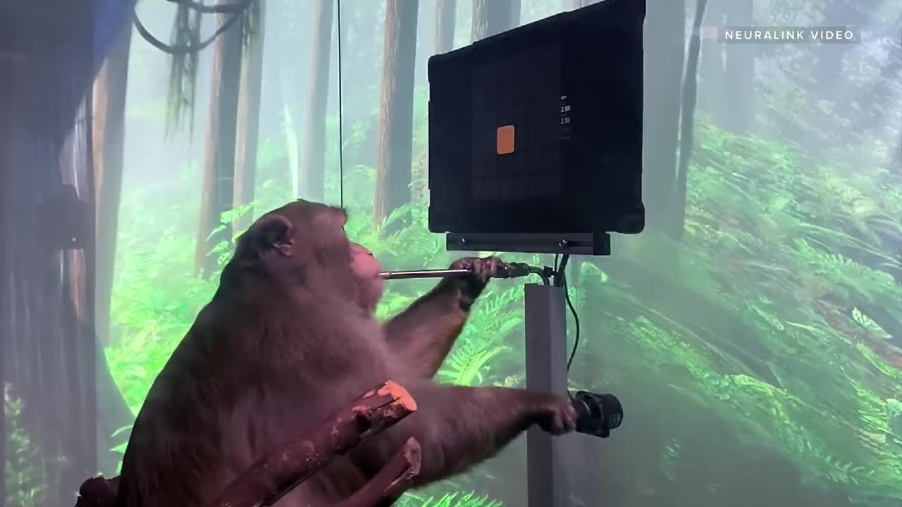 Watch Elon Musk's Neuralink monkey play video games with his brain