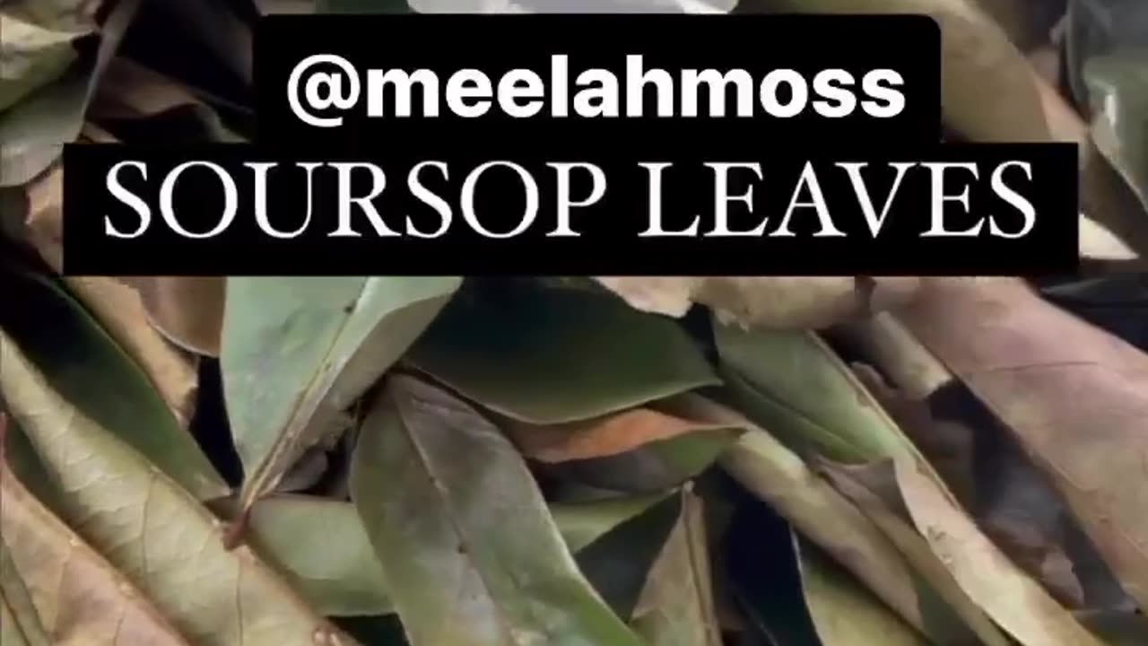 Soursop and soursop leaves, helps prevent cancer and an assist in eliminating cancer cells.