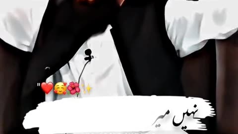 Moulana Tariq Jameel