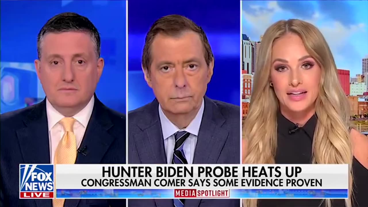 Fox Guest Says Biden Impeachment Has ‘Fallen Flat’ With Voters