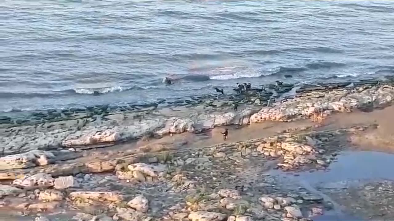 Bad day for a boy in Makhachkala