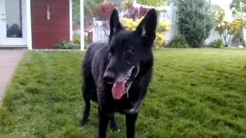 Bodhi and Maya 2