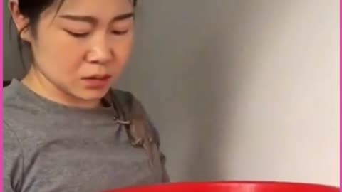 Funny videos 😅😅//comedy videos//Try not to laugh 🤣