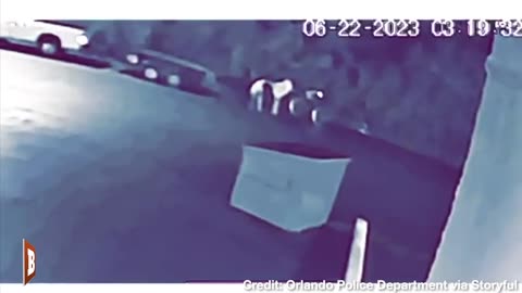 WHAT?! Suspect on Bike Steals Horse from Trailer in the Middle of the Night