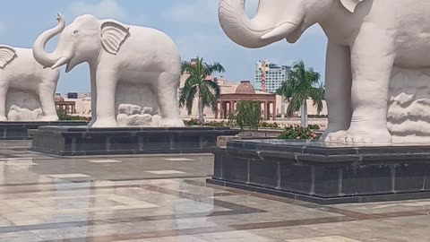 This is the most beautiful city of elephants in India. You will be surprised to see their beauty.