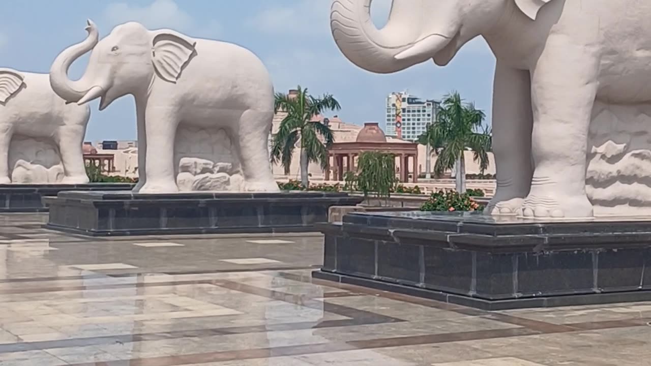 This is the most beautiful city of elephants in India. You will be surprised to see their beauty.