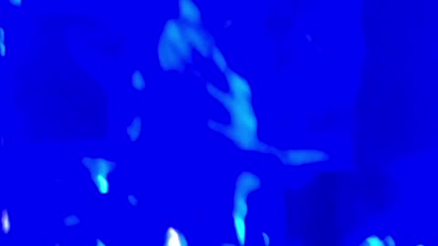 Halestorm "I Get Off"