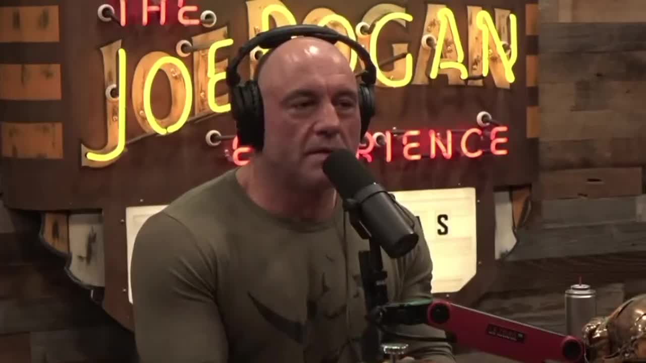 Joe Rogan and Matt Walsh Phenomenal conversationon about marriage.