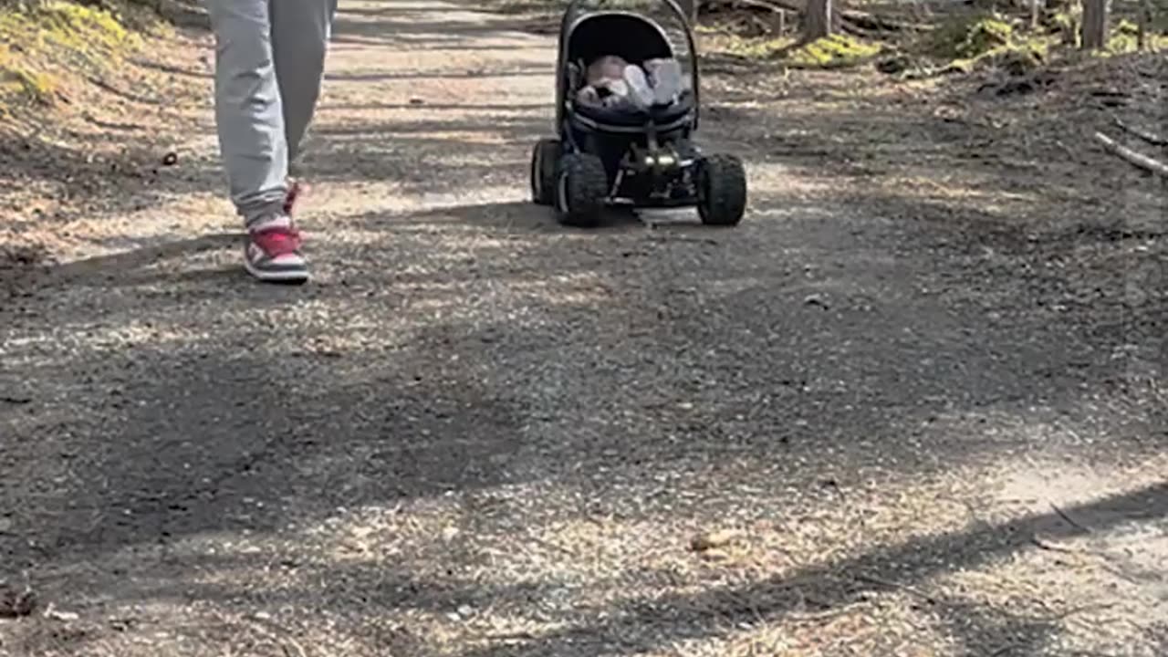 Homemade RC Baby Transport kid on the playground