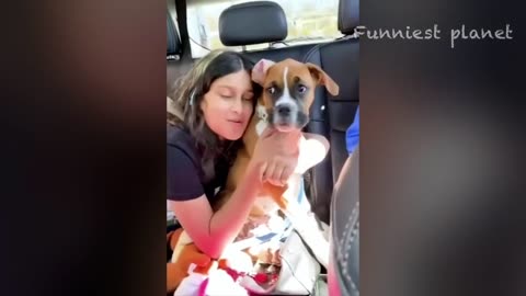 Best Funniest Animals Videos 😅 - Funny Dogs And Cats Videos 2023