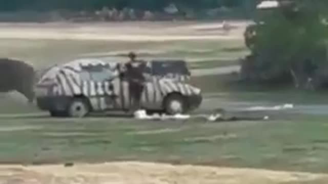 Rhino destroying a car completely