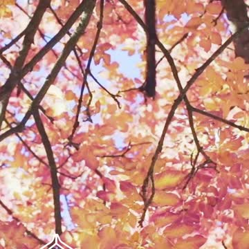 Brain Waves for deep sleep and stress therapy | Creativity #brainwaves😴🧸